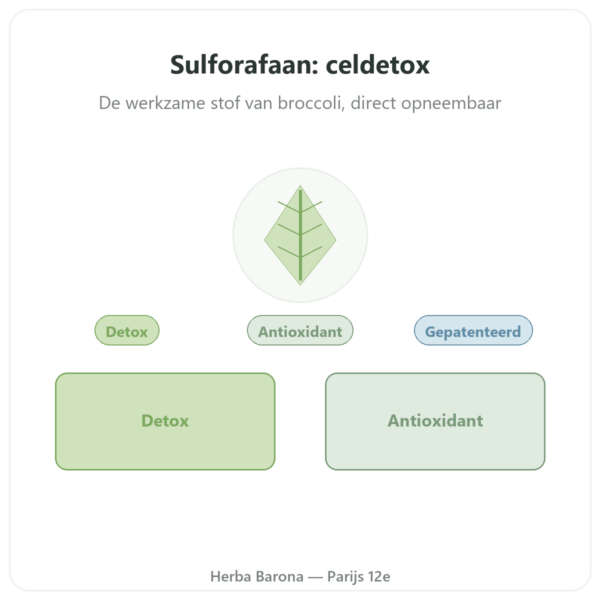 Sulforafaan – Broccoli-extract – Dynveo – 100 mg presentatie Paris Herba Barona