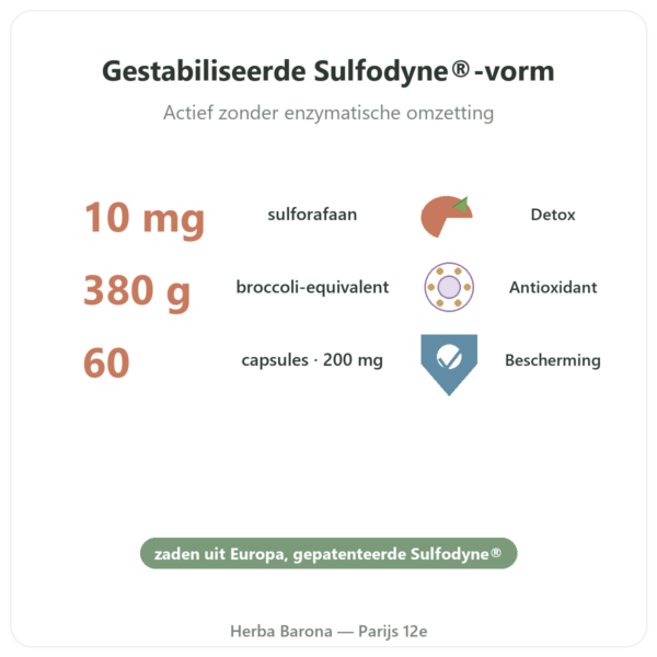 Sulforafaan – Broccoli-extract – Dynveo – 200 mg voordelen en kerngegevens Paris Herba Barona