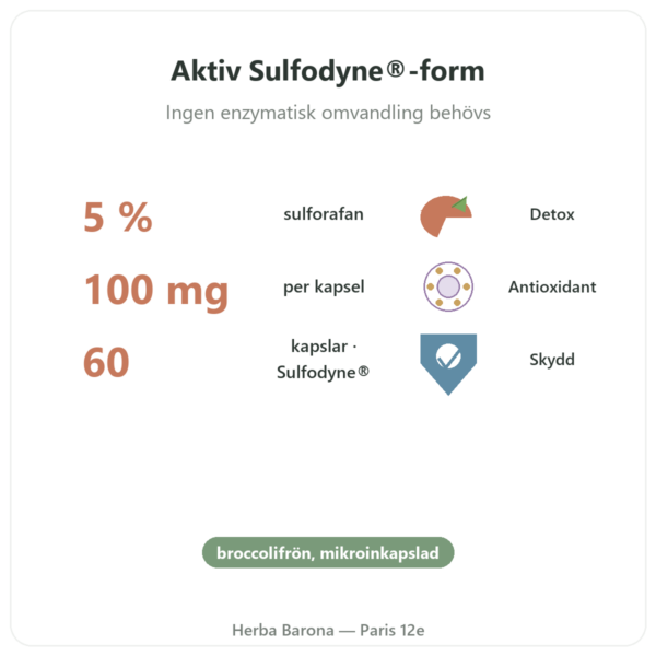 Sulforafan – Broccoliextrakt – Dynveo – 100 mg fördelar och nyckelfakta Paris Herba Barona