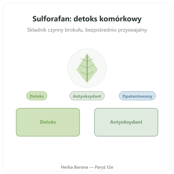 Sulforafan z brokułów Dynveo w Paryżu prezentacja Paris Herba Barona