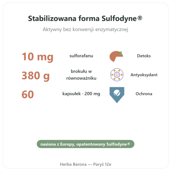 Sulforafan – Ekstrakt z brokułów – Dynveo – 200 mg korzyści i najważniejsze fakty Paris Herba Barona
