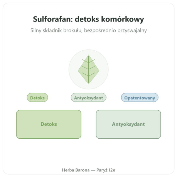 Sulforafan – Ekstrakt z brokułów – Dynveo – 200 mg prezentacja Paris Herba Barona