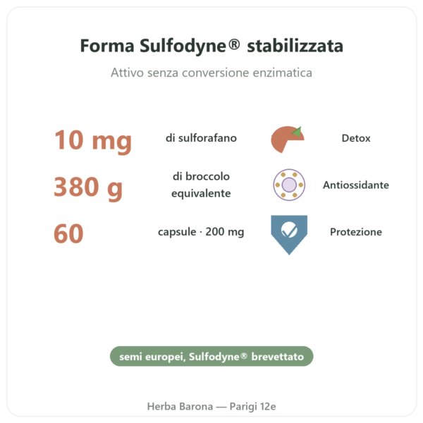 Sulforafano – Estratto di broccoli – Dynveo – 200 mg benefici e dati chiave Paris Herba Barona