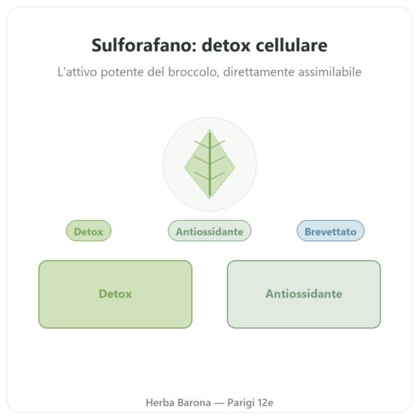 Sulforafano – Estratto di broccoli – Dynveo – 200 mg presentazione Paris Herba Barona