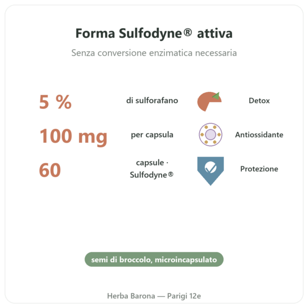 Sulforafano: Estratto di broccoli – Dynveo – 100 mg benefici e dati chiave Paris Herba Barona