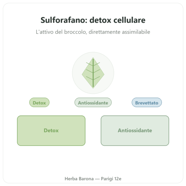 Sulforafano: Estratto di broccoli – Dynveo – 100 mg presentazione Paris Herba Barona