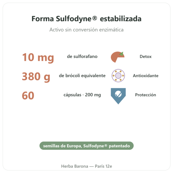 Sulforafano – Extracto de brócoli – Dynveo – 200 mg beneficios y datos clave Paris Herba Barona