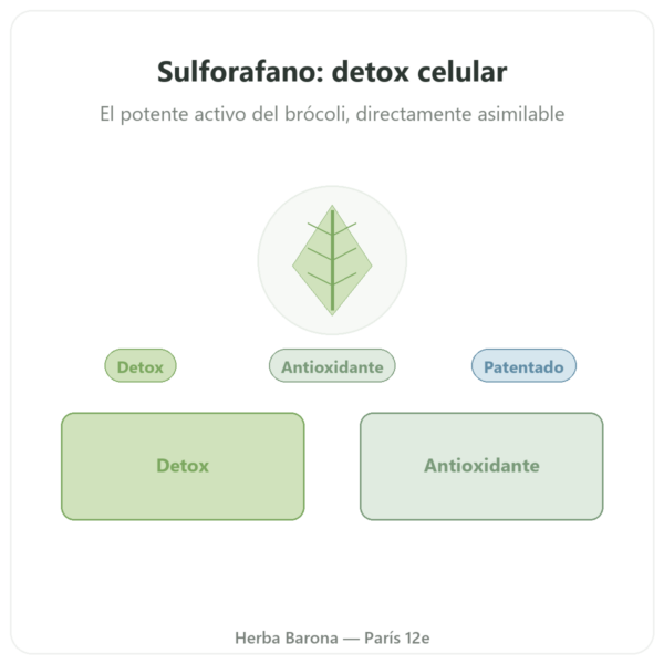 Sulforafano – Extracto de brócoli – Dynveo – 200 mg presentación Paris Herba Barona