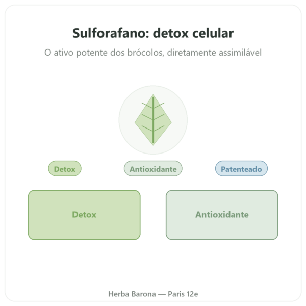 Sulforafano – Extrato de brócolos – Dynveo – 200 mg apresentação Paris Herba Barona