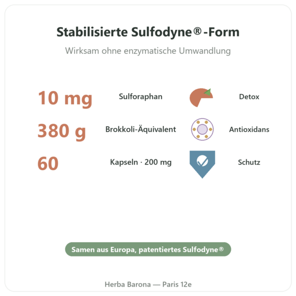 Sulforaphan Brokkoli-Extrakt Sulfodyne® – Dynveo – 200 mg – 60 Kapseln Vorteile und Fakten Paris Herba Barona