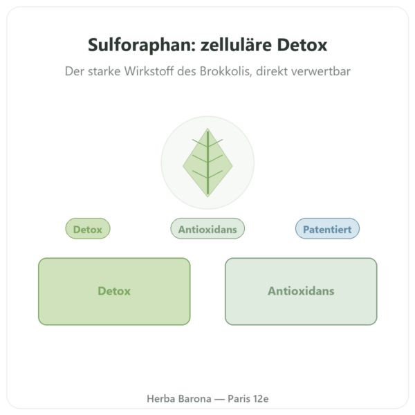 Sulforaphan Brokkoli-Extrakt Sulfodyne® – Dynveo – 200 mg – 60 Kapseln Vorstellung Paris Herba Barona