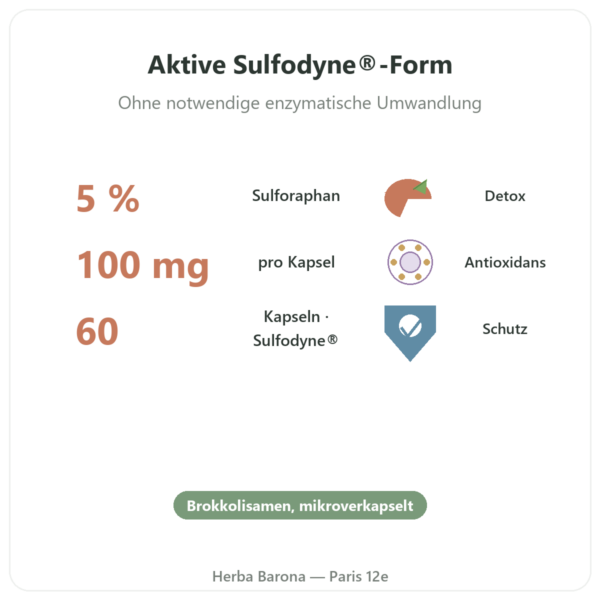 Sulforaphan Brokkoli-Extrakt Sulfodyne® – Dynveo – 60 Kapseln Vorteile und Fakten Paris Herba Barona