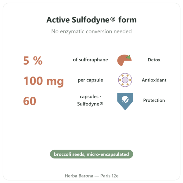 Sulforaphane - Broccoli Extract - Dynveo - 100 mg benefits and key facts Paris Herba Barona