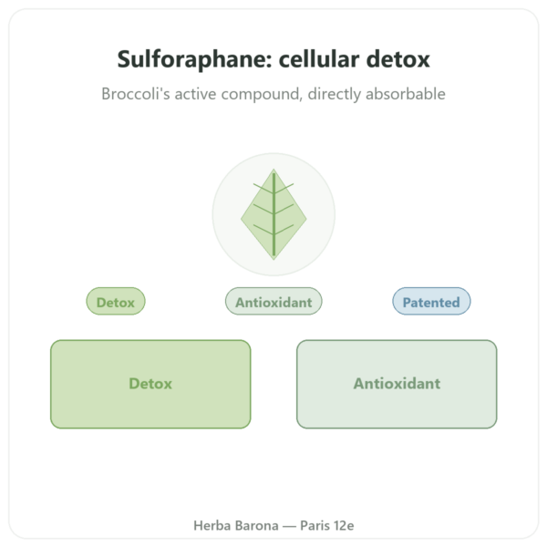 Sulforaphane - Broccoli Extract - Dynveo - 100 mg presentation Paris Herba Barona