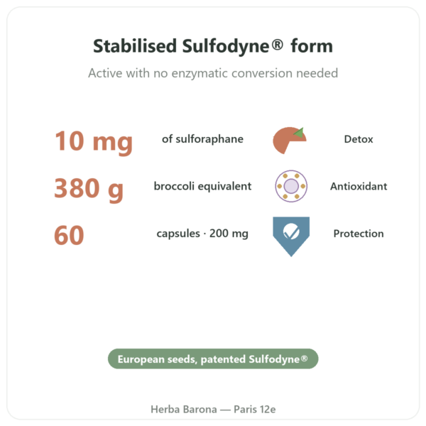 Sulforaphane Broccoli Extract 200mg - Dynveo benefits and key facts Paris Herba Barona