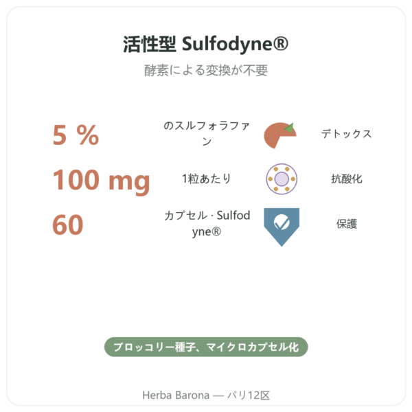 スルフォラファン – ブロッコリー抽出物 – Dynveo – 100 mg benefits and key facts Paris Herba Barona