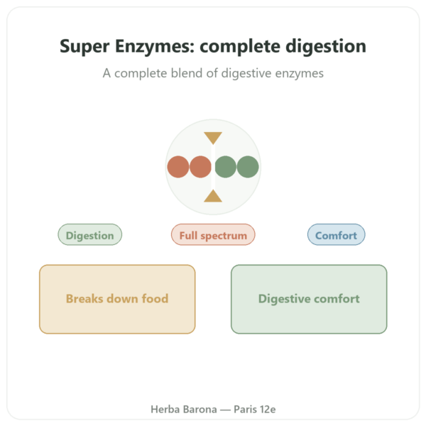 Super Digestive Enzymes - 90 Capsules - Now Foods presentation Paris Herba Barona