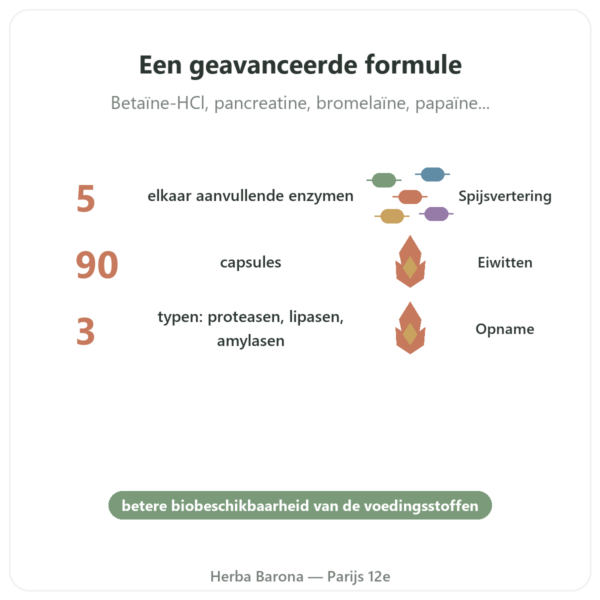 Super Enzymes Digestief – 90 Capsules – Now Foods voordelen en kerngegevens Paris Herba Barona