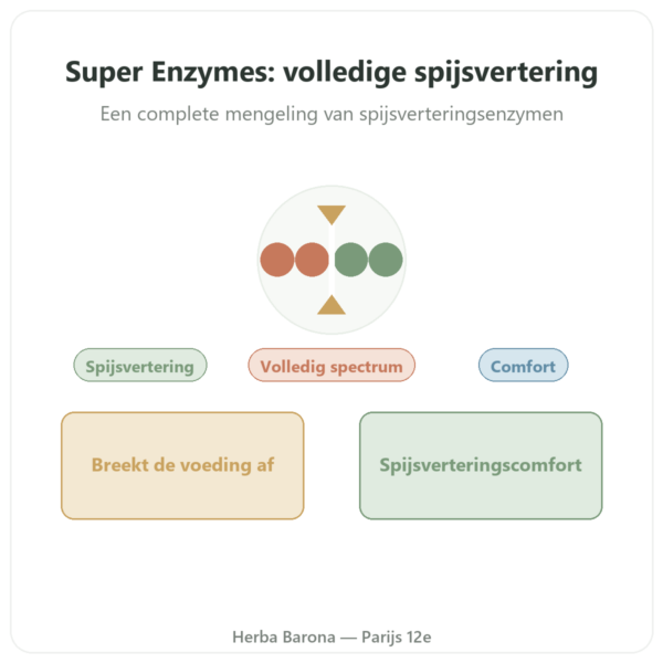 Super Enzymes Digestief – 90 Capsules – Now Foods presentatie Paris Herba Barona