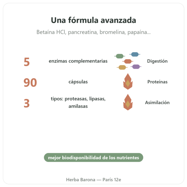 Super Enzymes Digestivas – 90 Cápsulas – Now Foods beneficios y datos clave Paris Herba Barona