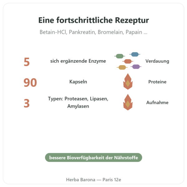 Super Enzymes Digestives – 90 Kapseln – Now Foods Vorteile und Fakten Paris Herba Barona