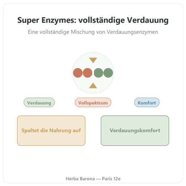 Super Enzymes Digestives – 90 Kapseln – Now Foods Vorstellung Paris Herba Barona
