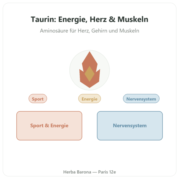 Taurin – Dynveo – 60 Kapseln Vorstellung Paris Herba Barona