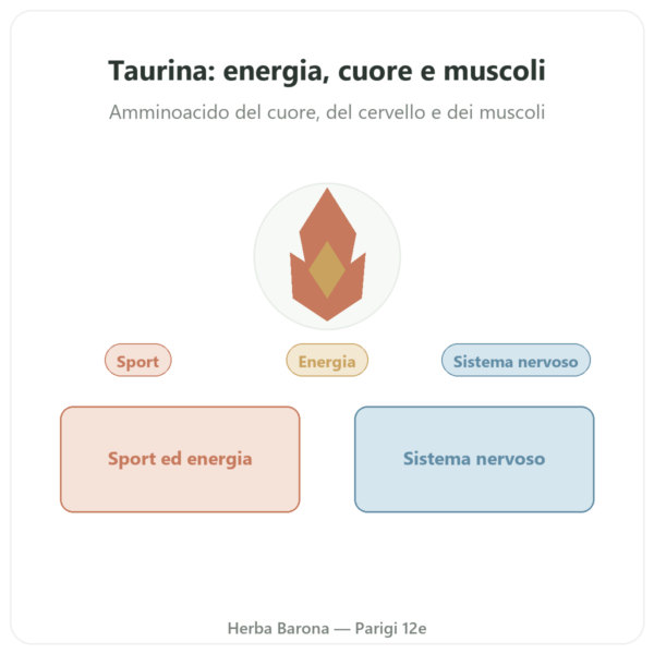 Taurina – Dynveo – 60 capsule presentazione Paris Herba Barona