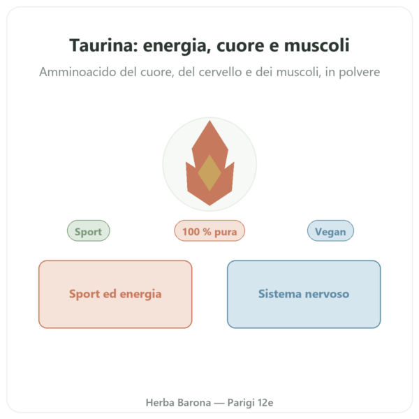 Taurina Pura in Polvere – NOW Foods – 227 g presentazione Paris Herba Barona