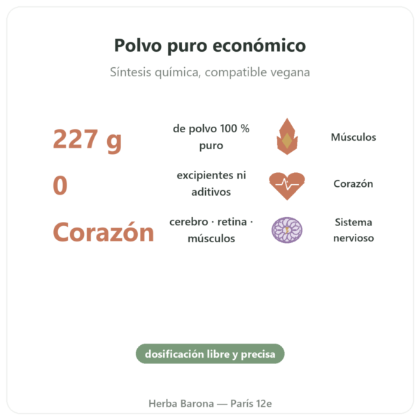 Taurina Pura en Polvo – NOW Foods – 227 g beneficios y datos clave Paris Herba Barona