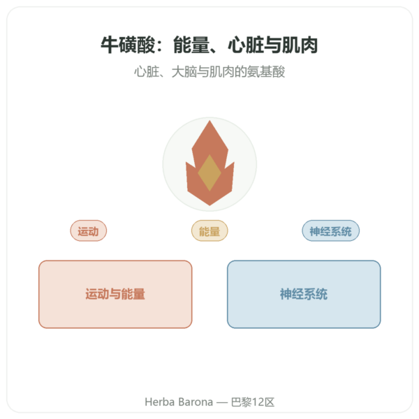 牛磺酸 – Dynveo – 60粒胶囊 产品展示 Paris Herba Barona