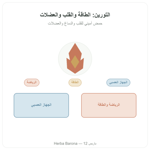 توراين – Dynveo – 60 كبسولة عرض المنتج Paris Herba Barona