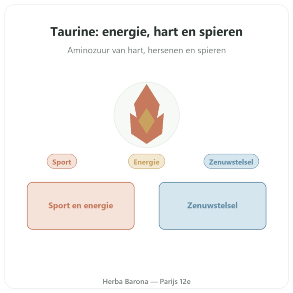 Taurine Dynveo 60 capsules presentatie Paris Herba Barona