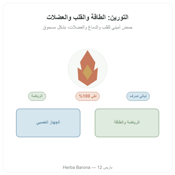 تورين مسحوق نقي – NOW Foods – 227 غ عرض المنتج Paris Herba Barona