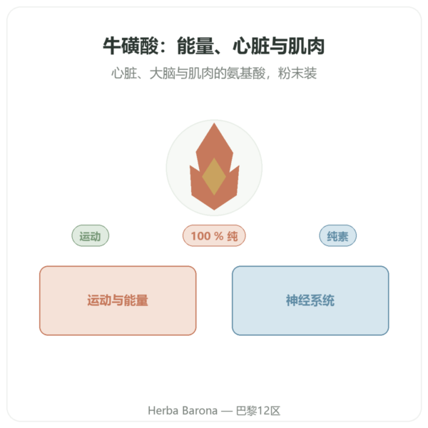 牛磺酸纯粉末 — NOW Foods — 227 g 产品展示 Paris Herba Barona