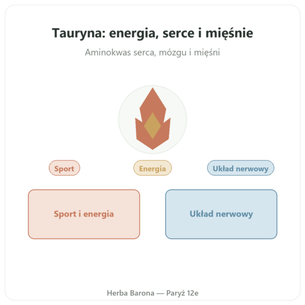 Tauryna – Dynveo – 60 Kapsułek prezentacja Paris Herba Barona