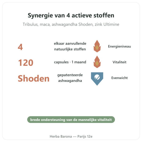 Testosteron Booster Nutrimuscle 120 capsules voordelen en kerngegevens Paris Herba Barona