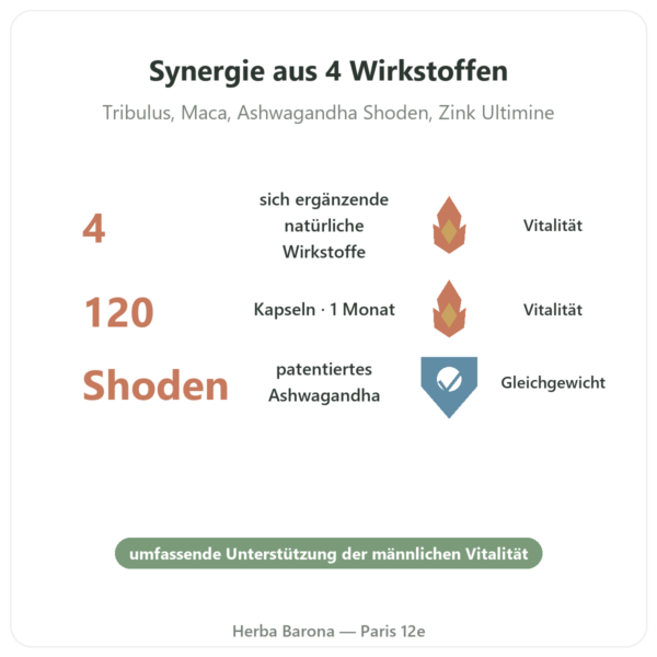 Testosteron Booster – Nutrimuscle – 120 Kapseln Vorteile und Fakten Paris Herba Barona