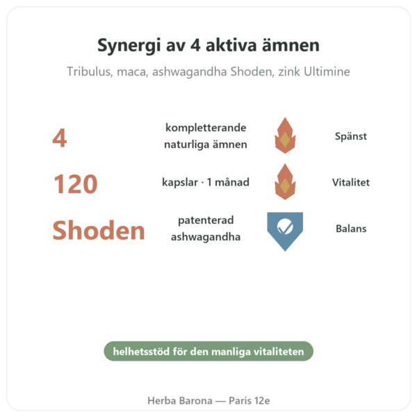 Testosteron Booster Nutrimuscle 120 kapslar fördelar och nyckelfakta Paris Herba Barona