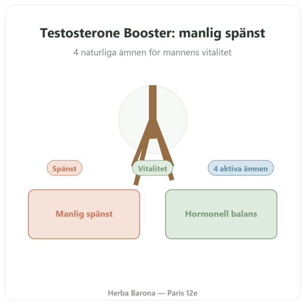 Testosteron Booster Nutrimuscle 120 kapslar presentation Paris Herba Barona