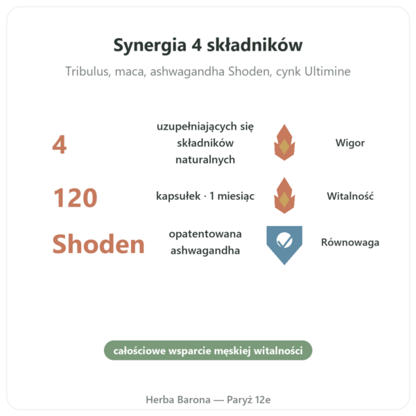 Testosterone Booster Nutrimuscle 120 kapsułek korzyści i najważniejsze fakty Paris Herba Barona