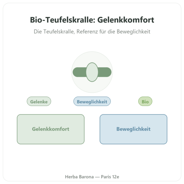 Teufelskralle Bio 40 % Harpagosid – Dynveo – 60 Kapseln Vorstellung Paris Herba Barona