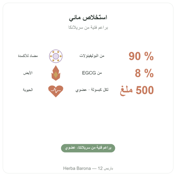 شاي أخضر عضوي – 60 كبسولة 500 مغ 90% بوليفينول – Dynveo الفوائد والمعطيات الرئيسية Paris Herba Barona