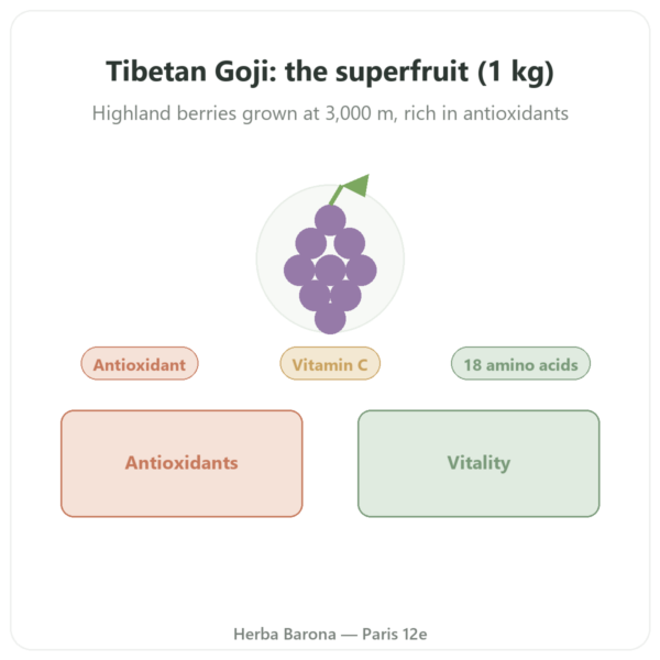 Tibetan Goji Berries – 1 kg presentation Paris Herba Barona