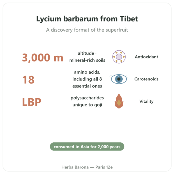 Tibetan Goji Berries – 250 g benefits and key facts Paris Herba Barona