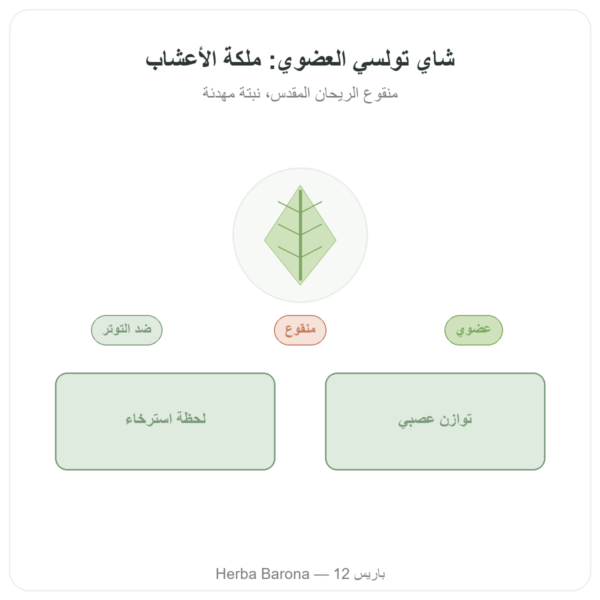 شاي تولسي العضوي 25 كيسًا Ayur-vana عرض المنتج Paris Herba Barona