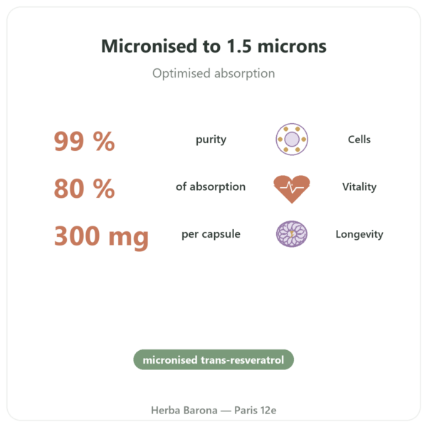 Trans-Resveratrol 300mg - Dynveo - 60 capsules benefits and key facts Paris Herba Barona
