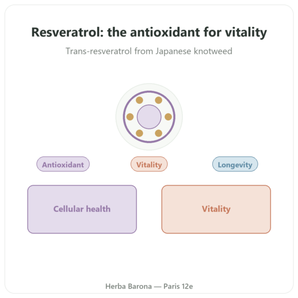 Trans-Resveratrol 300mg - Dynveo - 60 capsules presentation Paris Herba Barona