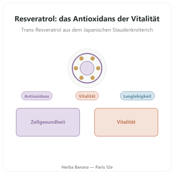 Trans-Resveratrol pur 99 % – Dynveo – 300 mg – 60 Kapseln Vorstellung Paris Herba Barona