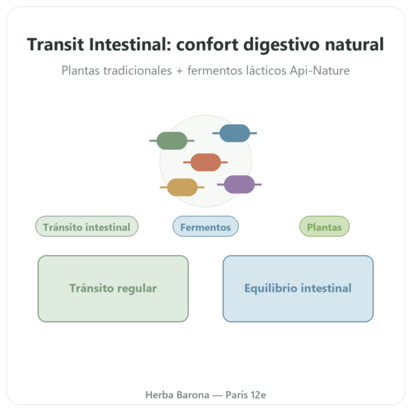 Tránsito Intestinal Essence Pure – 30 Cápsulas presentación Paris Herba Barona